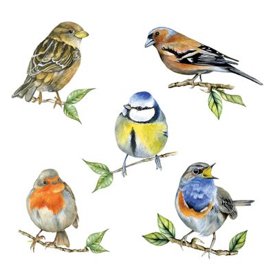 20 Ambiente Paper Napkins "Bird Species White" Vintage Table Decoration with Motif Also for Party or Decoupage 33 x 33 cm