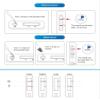Twin Pack Hepatitis B Rapid Result Professional Test kit view 3