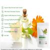 Oregano Oil 25mg Softgel Capsules, Natural Source of Carvacrol, Phenolic Acids and Flavonoids, Natural Antibiotic Properties, Easy Swallow & Rapid Release (Pack of 120) view 2