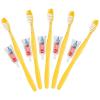 Disposable Hotel Toothbrush 50pcs Portable Travel Toothbrush with Toothpaste Kit Travel Toothbrush Kit Teeth Cleaning Brush for Hotel view 1