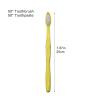50 Pcs Toothbrush Portable Travel Toothbrush with Toothpaste Kit Travel Toothbrush Kit Teeth Cleaning Brush view 2