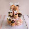 30 Pack Happy 15th Birthday Cupcake Toppers Silver Glitter Fifteen Cheers to 15 Years Old Birthday Cupcake Picks for Happy 15th Birthday Anniversary Party Cake Decorations view 4