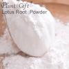 100% Natural Pure Lotus Root Powder 100g/3.52oz  For Smoothies, Shakes, Baking & Drinks,| Free from Preservatives, Freeze-Dried, No Added Sugar view 3