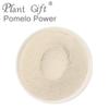 100% Natural Pure Pomelo Power 100g/3.52oz  for Smoothies, Shakes, Baking & Drinks,| Free from Preservatives, No Added Sugar view 3