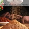 100% Natural Pure Ziziphus Jujuba Kernel Powder 100g/3.52oz  Ziziphi Spinosi Semen, Sour Jujube Kernel Powder For Cooking Baking Recipes & Drinks,| Free from Preservatives, No Added Sugar view 3