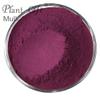 100% Natural Pure Mulberry Powder 100/3.52oz,  Great for Baking, Juices, Smoothies, Yogurts & Drinks, Tea | Free from Preservatives, No Filler, No additives view 2