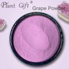 100% Natural Pure Grape Powder 100g/3.52oz  for Smoothies, Shakes, Baking & Drinks,| Free from Preservatives, No Added Sugar view 2