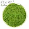 100% Pure Barley leaves Powder 100g/3.52oz Natural Barley leaves Flour | Barley Grass Powder For Smoothies, Shakes, Baking & Drinks,| Free from Preservatives view 3