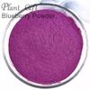 100% Natural Pure Blueberry Powder 100g/3.52oz  Blue Berry Powder for Smoothie & Breakfast, Freeze-Dried, No Added Sugar view 2