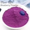 100% Natural Pure Blueberry Powder 100g/3.52oz  Blue Berry Powder for Smoothie & Breakfast, Freeze-Dried, No Added Sugar view 3