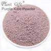100% Natural Pure Purple Kale Powder 100g/3.52oz  Natural Food Coloring, Great for Baking, Juices, Smoothies, Shakes, and Drinks. view 4