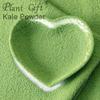 100% Natural Pure Kale Powder 100g/3.52oz  Natural Food Coloring, Great for Baking, Juices, Smoothies, Shakes, and Drinks | Kale Tea and Green Drink Mix | view 3