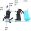 Back Lumbar Traction Device- Improve Spine Posture Corrector with Inflatable Pillow for Home Office Clinics - Cervical Spine Extension Stretcher view 3