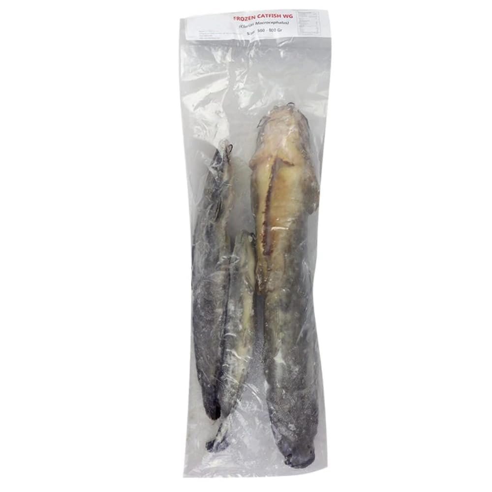 MASFrozen Catfish Large (800+) 2.5kg-Fd