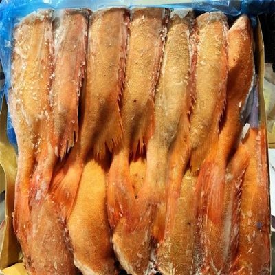 MASFrozen Red Bream Fish (300-500) 7Kg-Fd