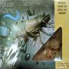 MASOcean Classic Head-On-Shell-on Shrimp 1kg-Fd view 1