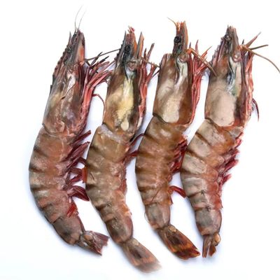 MASNSFIL Premium Semi - IQF Raw HOSO Black Tiger Prawns (2/4, 750g net)-1kg-Food