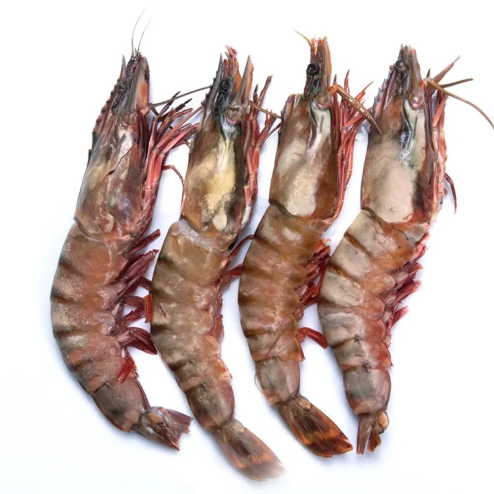 MASNSFIL Premium Semi - IQF Raw HOSO Black Tiger Prawns (2/4, 750g net)-1kg-Food