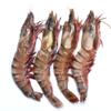 MASNSFIL Premium Semi - IQF Raw HOSO Black Tiger Prawns (2/4, 750g net)-1kg-Food view 1