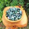 1/2 lb Bulk Lot Moss Agate Tumbled Stone (Crystal Gemstone Reiki Tumble) 8 oz ZFUGEDRLI view 2
