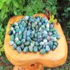 1/2 lb Bulk Lot Moss Agate Tumbled Stone (Crystal Gemstone Reiki Tumble) 8 oz ZFUGEDRLI view 3