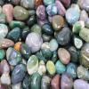 1/2 lb Bulk Lot Moss Agate Tumbled Stone (Crystal Gemstone Reiki Tumble) 8 oz ZFUGEDRLI view 4