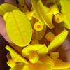 JOUSE 10 Pieces of Car Dent Repair Parts Kit New Yellow Pull-Tab Pull-Tab Head Gasket Suction Cup Combination view 4