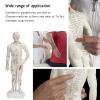 10.2'' Human Body Acupuncture Model, Male/Female Pressure Point and Meridians Model for Chinese Medicine Teaching, Acupuncture and Massage view 4