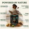 Ancient Extracts Morning Magic Mushroom Coffee (240g) | Decaf Arabica with Lions Mane, Cordyceps, Ashwagandha & Maca Root | 15:1 Extract Blend, 30% Beta Glucans | 100% Natural Coffee Alternative view 3