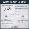 VITA PHARMA Alpha-Gpc 600mg 30 Capsules, Focus & Mental Clarity, Cognitive Performance, Memory & Brain Power view 3