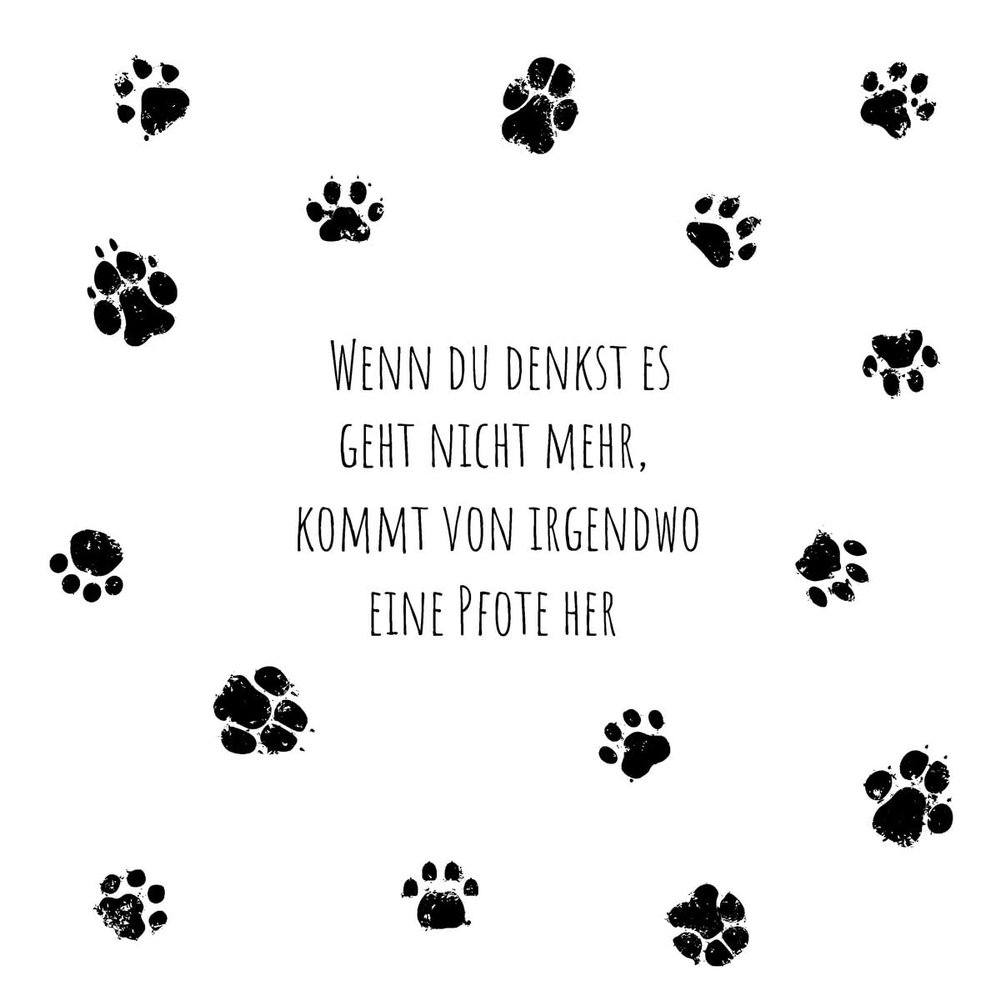20 Napkins Animal Motifs Dog Always Helps as Table Decoration Paper Napkins with Motif Also for Decoupage and Decoupage 33 x 33 cm