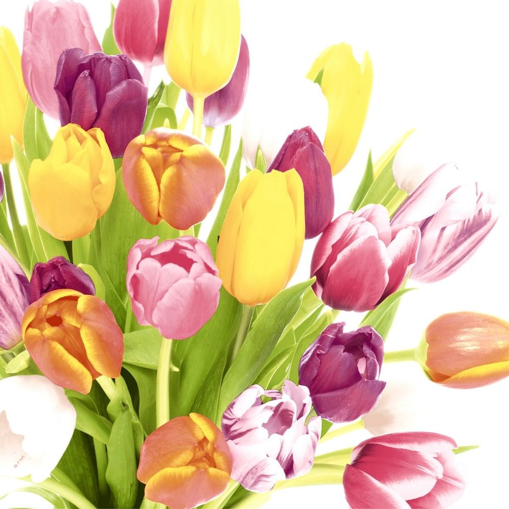 20 Napkins Flowers Colourful Tulips Table Decoration Paper Napkins with Motif Also for Decoupage and Decoupage 33 x 33 cm