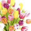 20 Napkins Flowers Colourful Tulips Table Decoration Paper Napkins with Motif Also for Decoupage and Decoupage 33 x 33 cm view 1