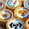 24 Dog dogs edible party decorations Iced/Icing Cupcake Topper Edible Fairy Cake Bun Toppers Round view 1