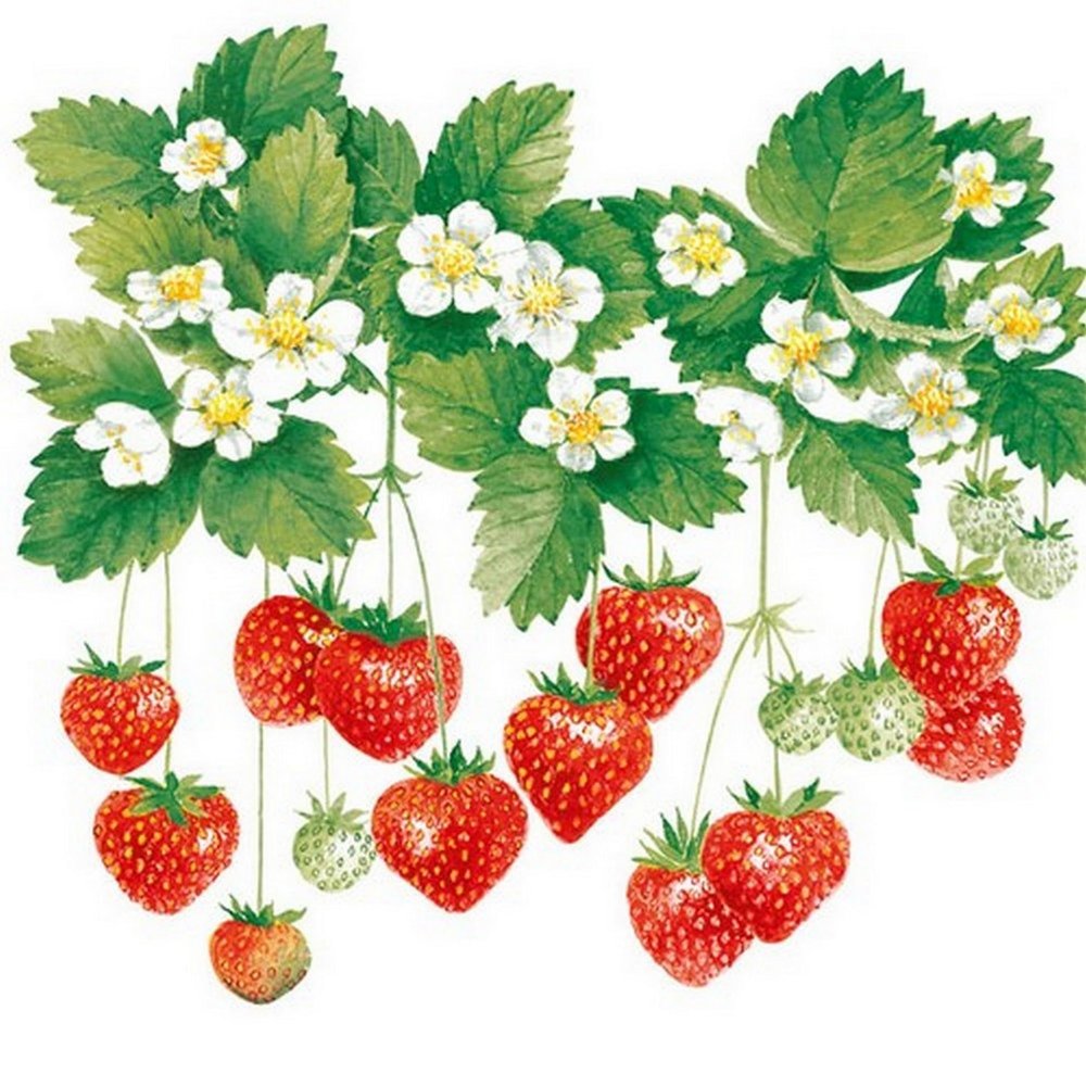 20 Napkins Food Hanging Erberries as Table Decoration Paper Napkins with Motif Also for Decoupage and Decoupage 33 x 33 cm