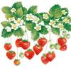 20 Napkins Food Hanging Erberries as Table Decoration Paper Napkins with Motif Also for Decoupage and Decoupage 33 x 33 cm view 1