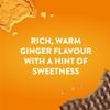 McVitie's Ginger Nuts Biscuits, 250 g (24 Pack) view 2