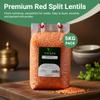 SUJASH Dried Red Split Lentils | Masoor Dal | Resealable Zip Lock Bag (Red Lentils (5 Kg)) view 2