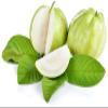 Indian Guava || 1.5 KG || 13.99 || FPG4U || view 1