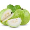 Indian Guava || 1.5 KG || 13.99 || FPG4U || view 2