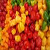 Fresh Scotch Bonnet|| FRESH HOTPEPPER || Red Pepper || Good for Souce-Chutney || UGANADA || KENYA || FPG4U || 1KG view 2