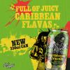 Levi Roots Caribbean Crush  Sparkling Fruit Juice Drink  Grapefruit, Mango & Pineapple  24 x 330ml Cans  Vegetarian  Tropical Flavour  Party & Vending Pack view 3