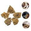 Beaupretty 10pcs Specimen Stones Natural Irregular Stones for Jewelry Charms and Mineral Teaching Props view 2