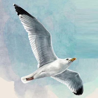 20 Serviettes Animal Motifs Seagull in the Sky as Table Decoration Paper Napkins with Motif Also for Decoupage and Decoupage 33 x 33 cm