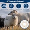 Xptieeck 6Pcs Wool Dryer Balls- Premium Natural - Made with Wool That Replaces Dryer Sheets - Lint Remover Easy to Use view 4