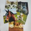 ANEIDA 28 * 28CM 6/12/24PCS Animal Cat Dog Square 100% Cotton Table Napkins Mat Block Print Cotton Napkins Washable Printed Teal Towel view 2