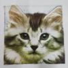 ANEIDA 28 * 28CM 6/12/24PCS Animal Cat Dog Square 100% Cotton Table Napkins Mat Block Print Cotton Napkins Washable Printed Teal Towel view 3