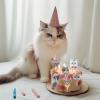 12Pcs Birthday Cupcake Topper for Cat Party Decorations, Happy Birthday Cake Topper Decoration for Pet Birthday Party Decorations 2 inch view 4