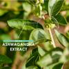 Ashwagandha Extract 7500mg - 5% Withanolides (18.75mg) - 120 Vegan Capsules - Made with BioPerine Black Pepper for Higher Bioavailability (4 Month Supply) by Alpha01 view 4