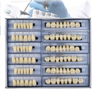 MTTXY 168 Pcs Dental Synthetic Resin Tooth Denture, 3 Sets False Teeth 23 A3 Upper Lower Shade Dental for Halloween Horror Teeth